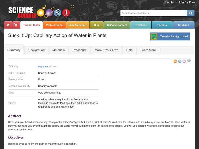 Science Buddies: Suck It Up: Capillary Action of Water in Plants Activity Science Buddies: Suck It Up: Capillary Action of Water in Plants Activity