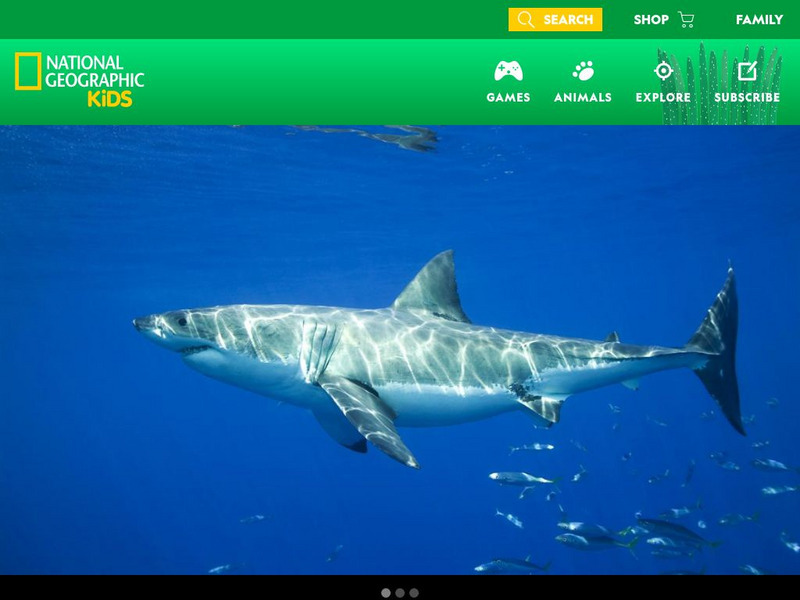 National Geographic Kids: Animals: Great White Shark Website National Geographic Kids: Animals: Great White Shark Website