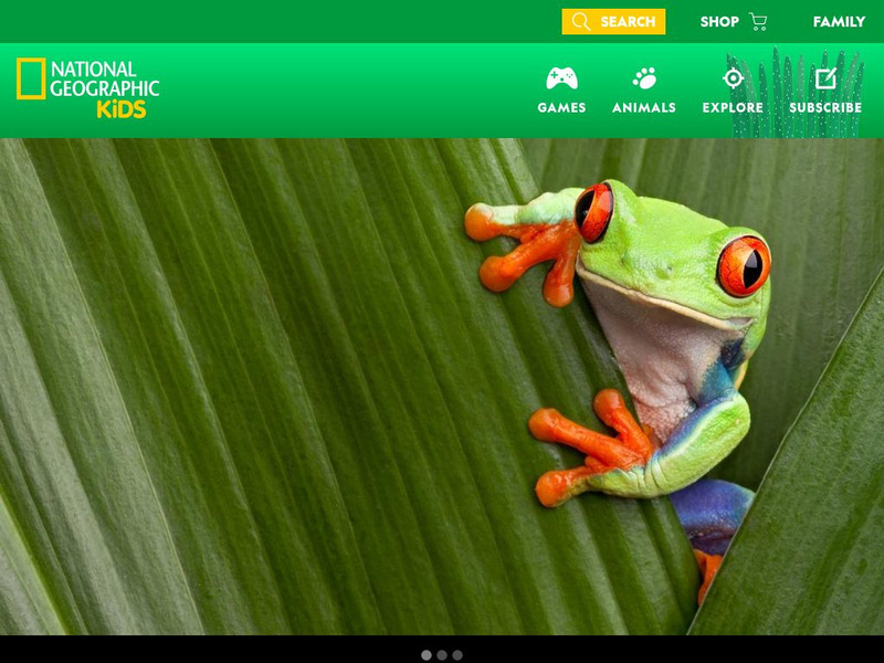 National Geographic Kids: Animals: Red Eyed Tree Frogs Interactive