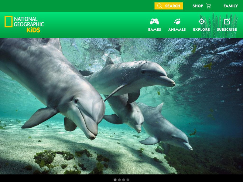 National Geographic Kids: Animals: Bottlenose Dolphin Interactive National Geographic Kids: Animals: Bottlenose Dolphin Interactive