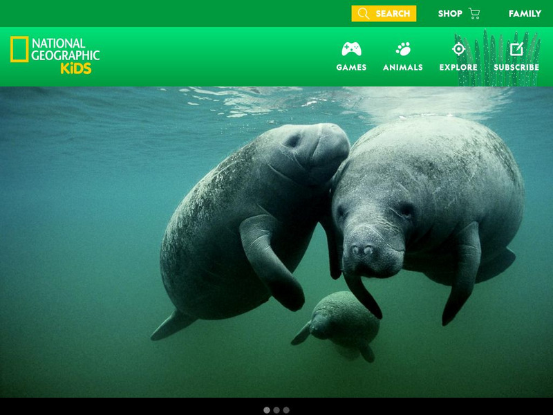 National Geographic Kids: Animals: Manatees Interactive