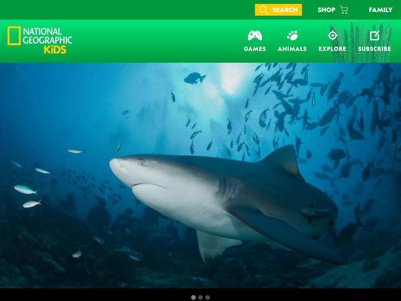 National Geographic Kids: Animals: Bull Sharks Interactive National Geographic Kids: Animals: Bull Sharks Interactive