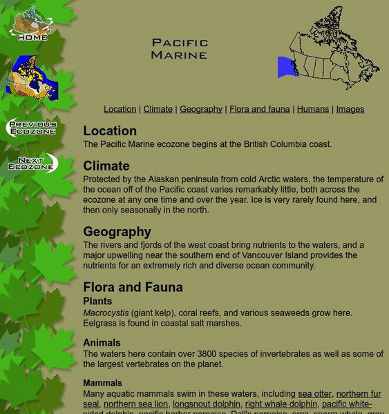 Mc Gill University: Canadian Biodiversity: Ecozones: Pacific Marine Handout Mc Gill University: Canadian Biodiversity: Ecozones: Pacific Marine Handout