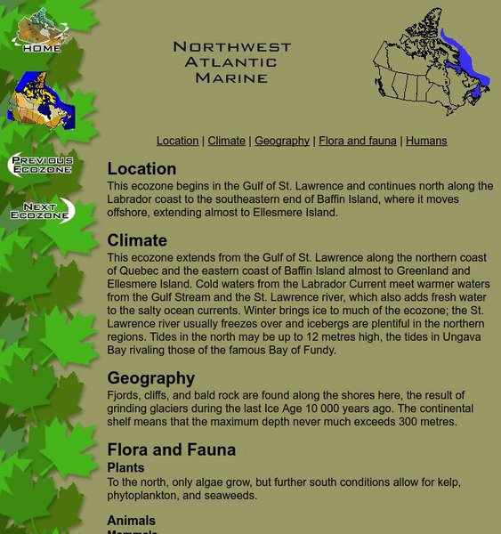 Mc Gill University: Canadian Biodiversity: Ecozones: Northwest Atlantic Marine Handout Mc Gill University: Canadian Biodiversity: Ecozones: Northwest Atlantic Marine Handout