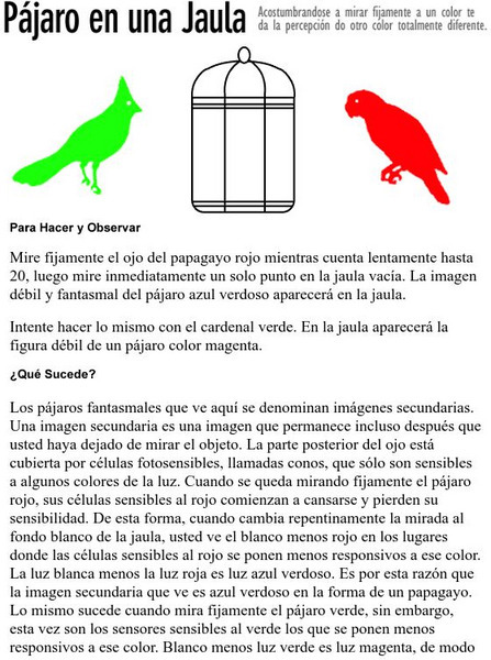 Exploratorium: Pajaro en Una Jaula Activity Exploratorium: Pajaro en Una Jaula Activity