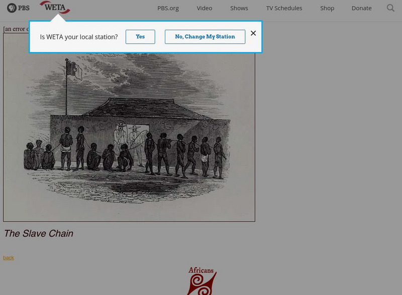 Pbs: Africans in America: The Slave Chain Graphic Pbs: Africans in America: The Slave Chain Graphic
