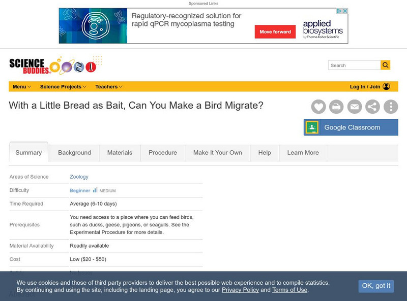 Science Buddies: With a Little Bread as Bait, Can You Make a Bird Migrate? Activity Science Buddies: With a Little Bread as Bait, Can You Make a Bird Migrate? Activity