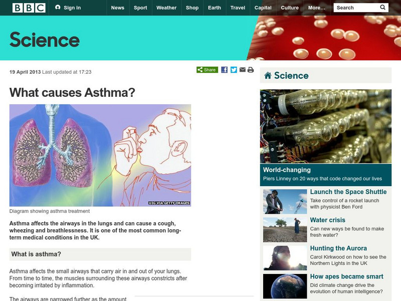 Bbc Health: What Causes Asthma? Website Bbc Health: What Causes Asthma? Website