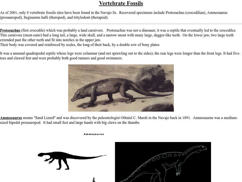 Lake Powell: Vertebrate Fossils Handout
