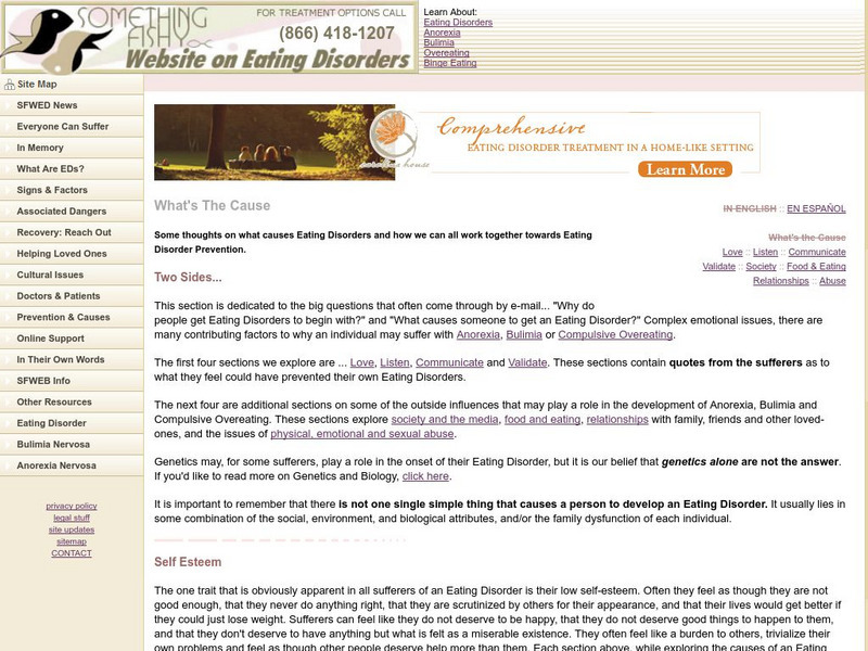 Something Fishy Website on Eating Disorders: What's the Cause Website Something Fishy Website on Eating Disorders: What's the Cause Website