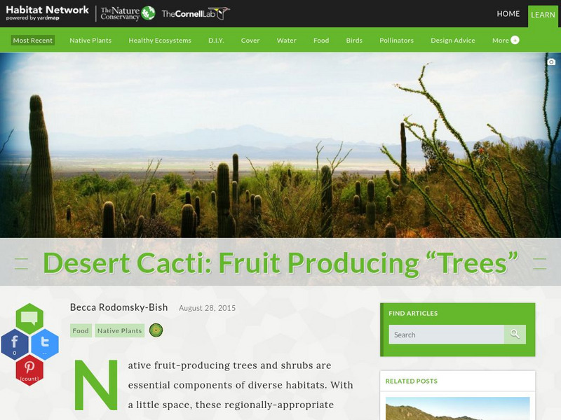 Habitat Network: Desert Cacti: Fruit Producing "Trees" Article Habitat Network: Desert Cacti: Fruit Producing "Trees" Article