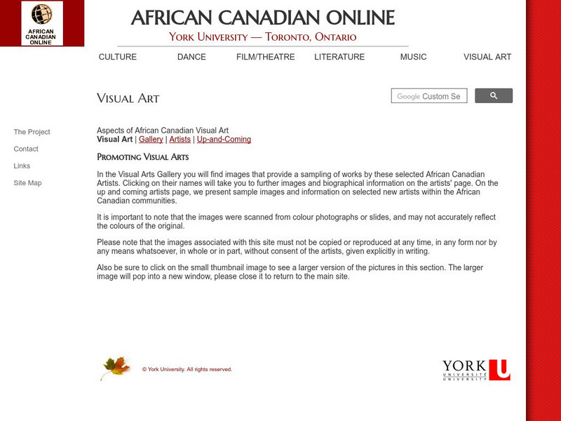 York University: African Canadian Online: Visual Art Graphic York University: African Canadian Online: Visual Art Graphic