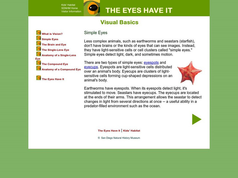 San Diego Natural History: Kids' Habitat :The Eyes Have It Simple Eyes Handout San Diego Natural History: Kids' Habitat :The Eyes Have It Simple Eyes Handout