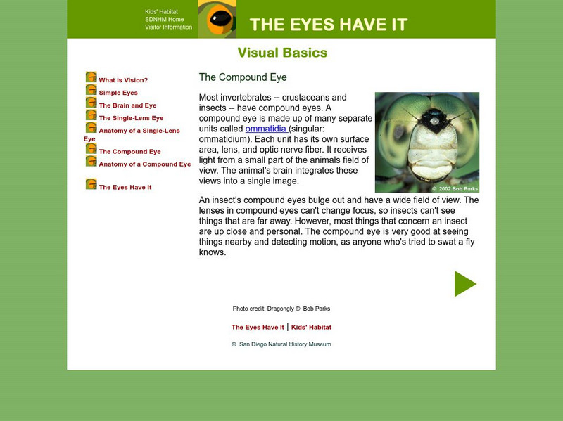 San Diego Natural History: Kids' Habitat :The Eyes Have It Compound Eye Handout San Diego Natural History: Kids' Habitat :The Eyes Have It Compound Eye Handout