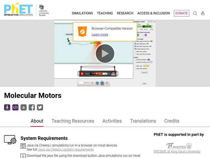 University of Colorado: Ph Et Interactive Simulations: Molecular Motors Activity University of Colorado: Ph Et Interactive Simulations: Molecular Motors Activity