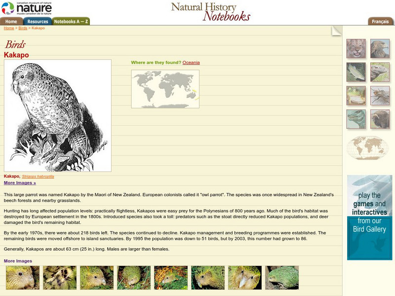 Canadian Museum of Nature: Kakapo Handout
