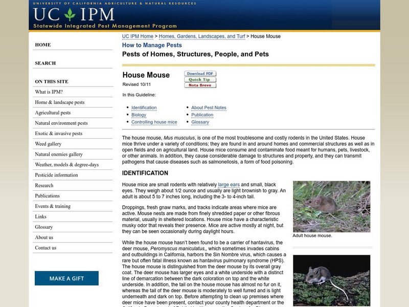 University of California: House Mouse Handout