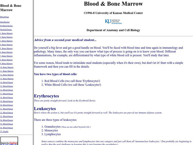 University of Kansas Medical Center: Blood & Bone Marrow Graphic University of Kansas Medical Center: Blood & Bone Marrow Graphic