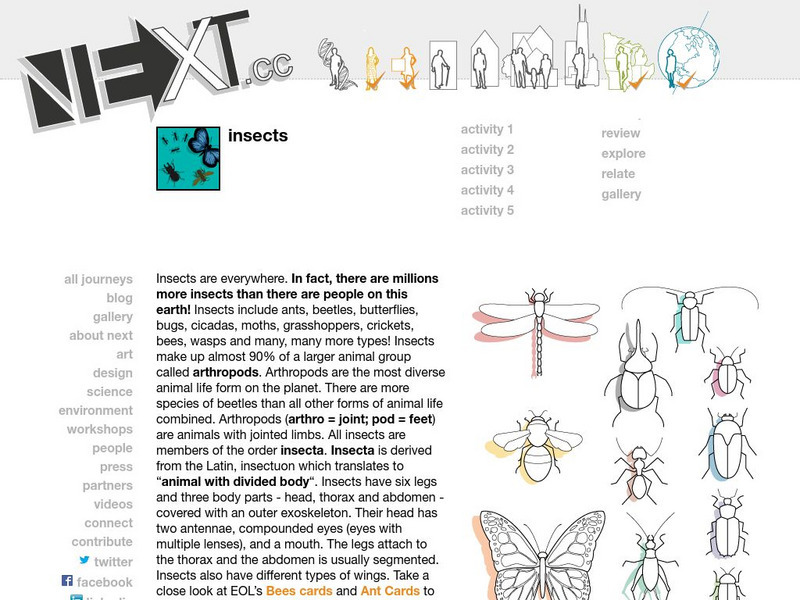 Next: Insects Unit Plan Next: Insects Unit Plan