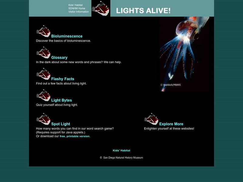 Sdnhm: Kids' Habitat: Lights Alive Handout Sdnhm: Kids' Habitat: Lights Alive Handout