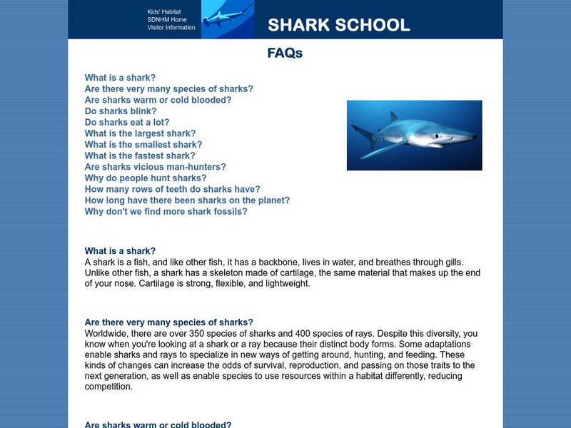 San Diego Natural History Museum: Shark School: Shark Faq's Handout