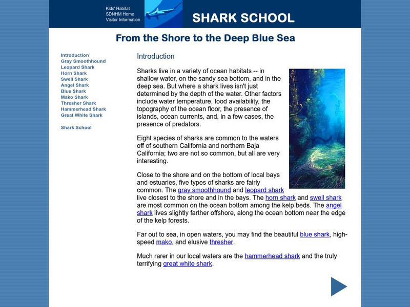 San Diego Natural History Museum: Shark School: From Shore to the Deep Blue Sea Handout San Diego Natural History Museum: Shark School: From Shore to the Deep Blue Sea Handout