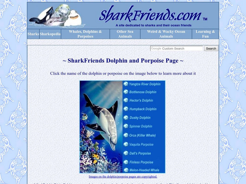 Shark Friends Dolphin and Porpoise Page Activity Shark Friends Dolphin and Porpoise Page Activity