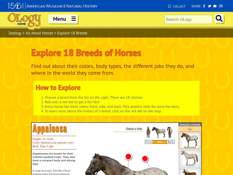 American Museum of Natural History: O Logy: Beautiful Breeds: Oldenburg Interactive American Museum of Natural History: O Logy: Beautiful Breeds: Oldenburg Interactive