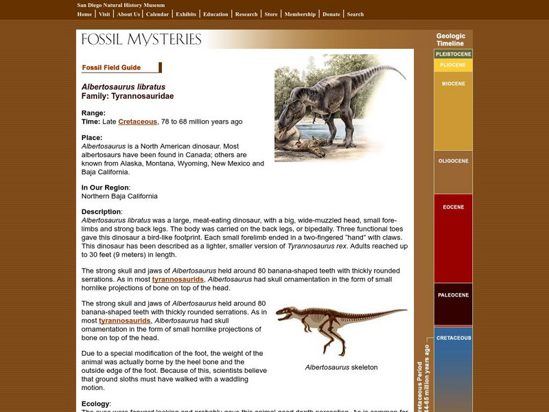 San Diego Natural History Museum: Fossil Field Guide: Albertosaurus Handout San Diego Natural History Museum: Fossil Field Guide: Albertosaurus Handout