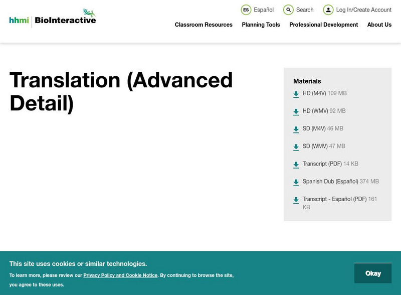 Hhmi: Bio Interactive: Animation: Translation Instructional Video Hhmi: Bio Interactive: Animation: Translation Instructional Video