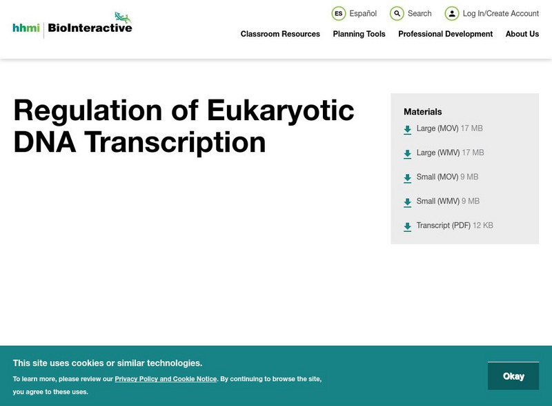 Hhmi: Bio Interactive: Regulation of Eukaryotic Dna Transcription Instructional Video Hhmi: Bio Interactive: Regulation of Eukaryotic Dna Transcription Instructional Video