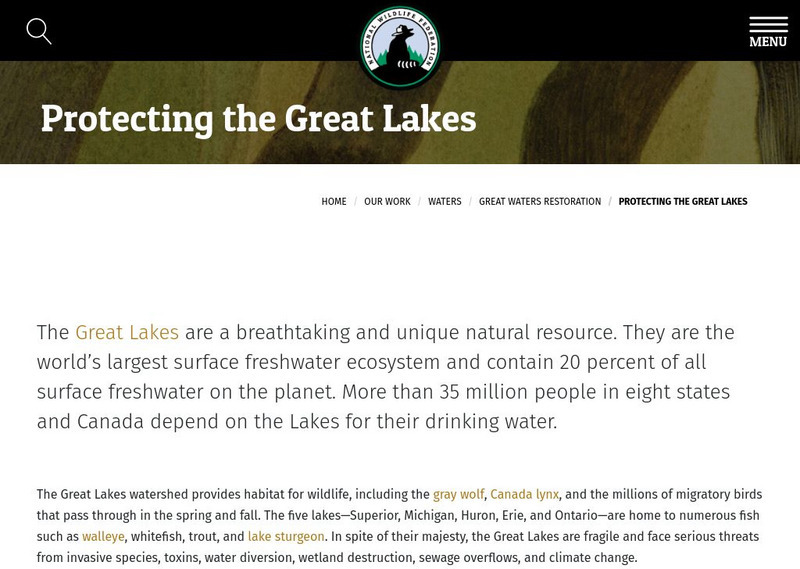 National Wildlife Foundation: What We Do to Protect the Great Lakes Handout