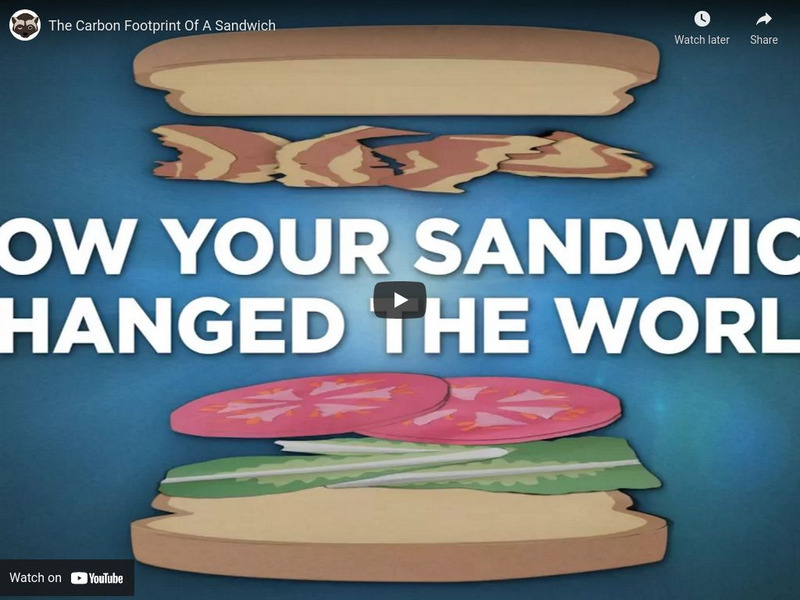 Npr Videos: Skunk Bear: The Carbon Footprint of a Sandwich Instructional Video Npr Videos: Skunk Bear: The Carbon Footprint of a Sandwich Instructional Video