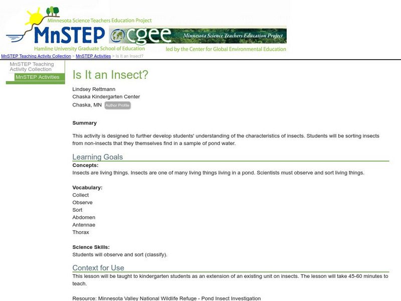 Serc: Is It an Insect? Activity