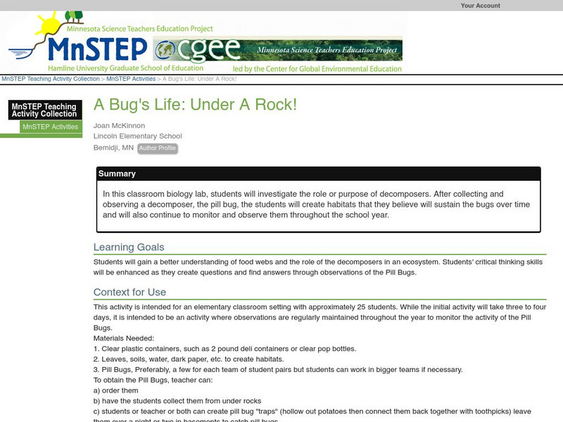 Serc: A Bug's Life: Under a Rock! Lesson Plan