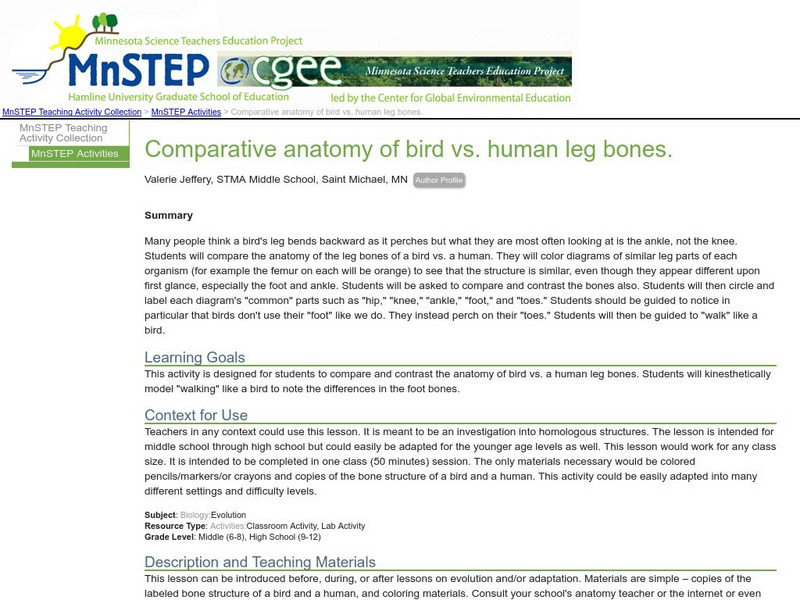 Serc: Comparative Anatomy of Bird vs. Human Leg Bones Lesson Plan Serc: Comparative Anatomy of Bird vs. Human Leg Bones Lesson Plan