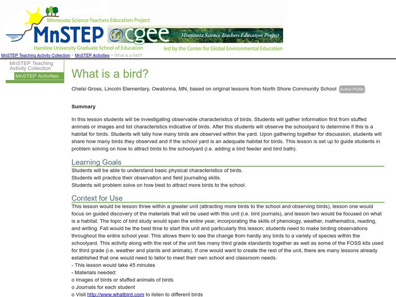 Serc: Mn Step: What Is a Bird? Lesson Plan