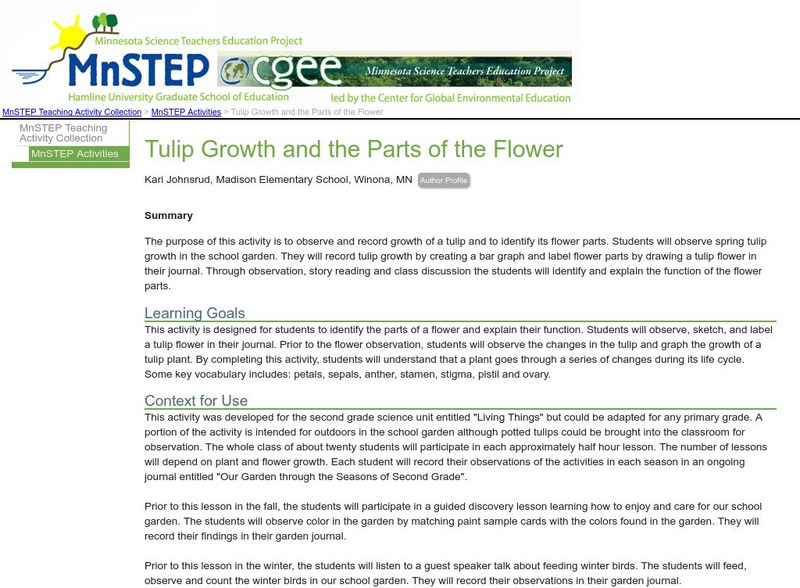 Serc: Tulip Growth and the Parts of the Flower Lesson Plan