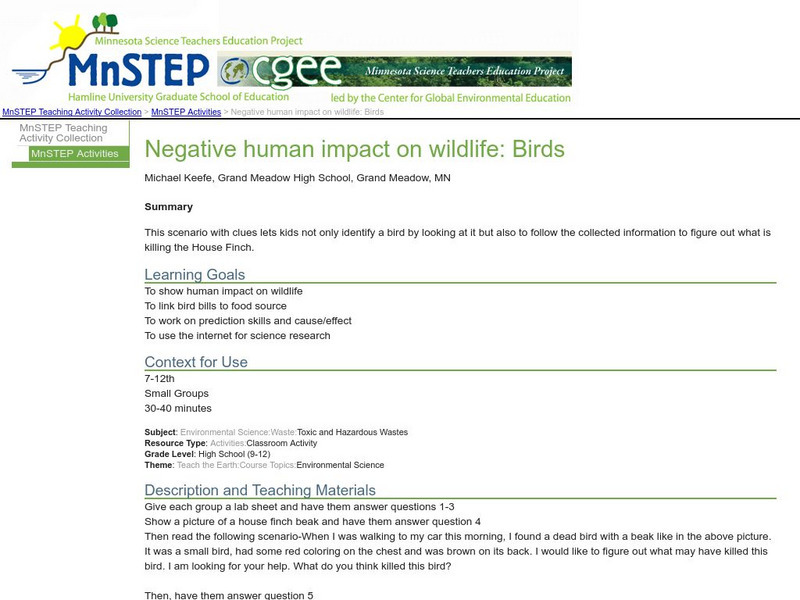 Serc: Negative Human Impact on Wildlife: Birds Lesson Plan Serc: Negative Human Impact on Wildlife: Birds Lesson Plan