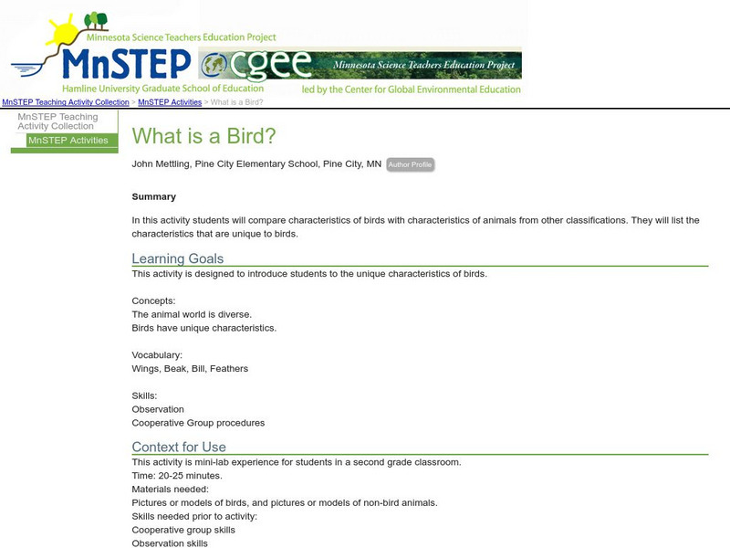 Serc: Mn Step: What Is a Bird? Lesson Plan