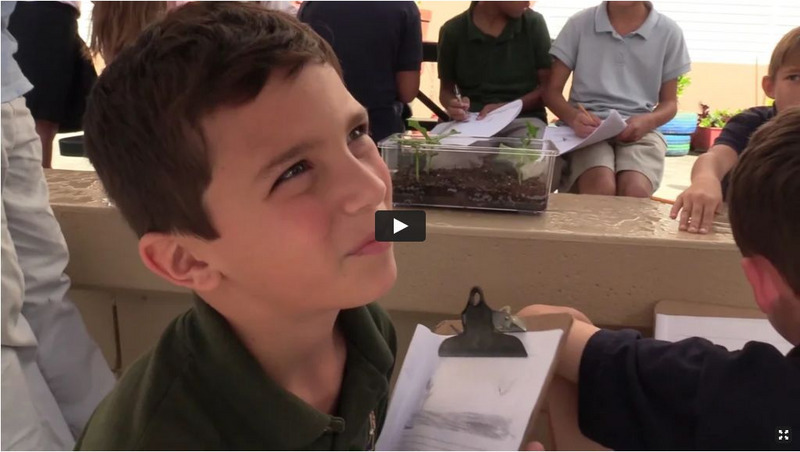 Arts Now Learning: Scientific Sketching Instructional Video Arts Now Learning: Scientific Sketching Instructional Video