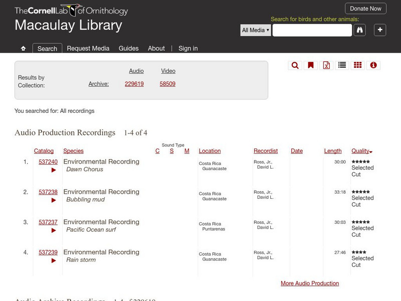 Cornell Lab of Ornithology: Cape May Warbler Sounds Audio Cornell Lab of Ornithology: Cape May Warbler Sounds Audio