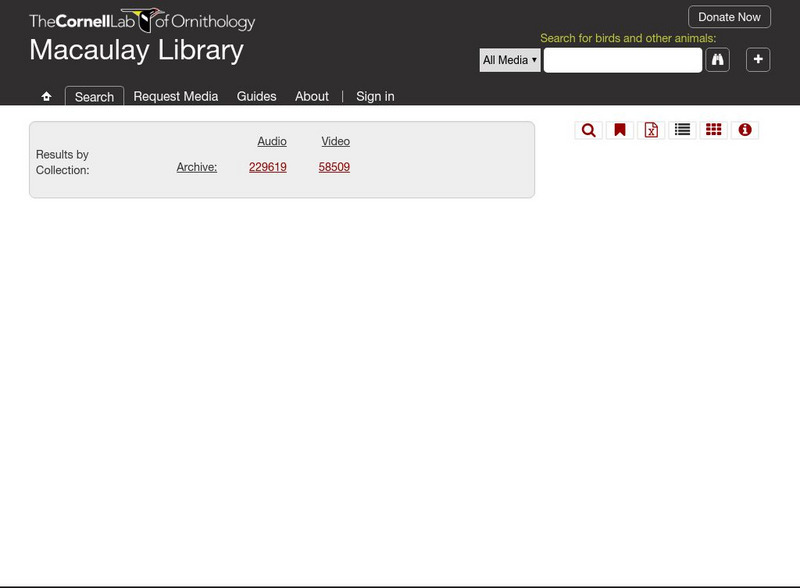Cornell Lab or Ornithology: Golden Browed Warbler Instructional Video Cornell Lab or Ornithology: Golden Browed Warbler Instructional Video