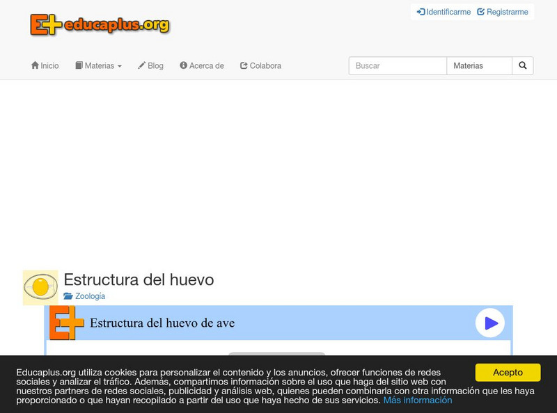 Educaplus: Estructura Del Huevo De Ave [In Spanish] Activity
