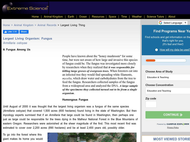 Extreme Science: Largest Living Organism Fungus Handout