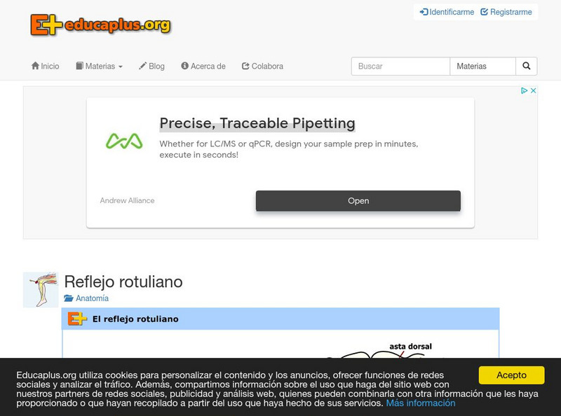 Educaplus: El Reflejo Rotuliano [In Spanish] Activity