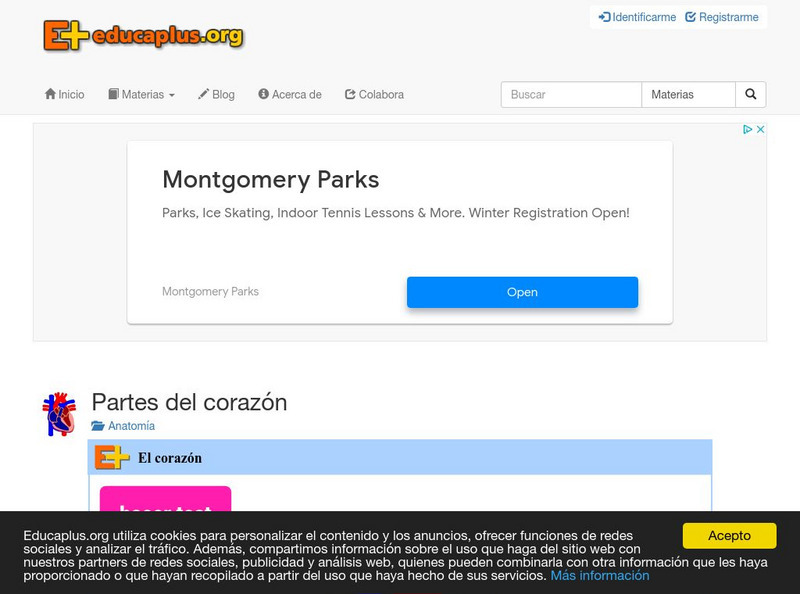 Educaplus: El Corazon [In Spanish] Activity