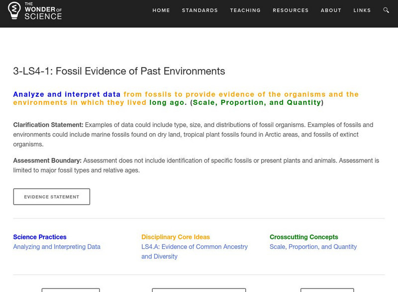 The Wonder of Science: 3 Ls4 1: Fossil Evidence of Past Environments Lesson Plan