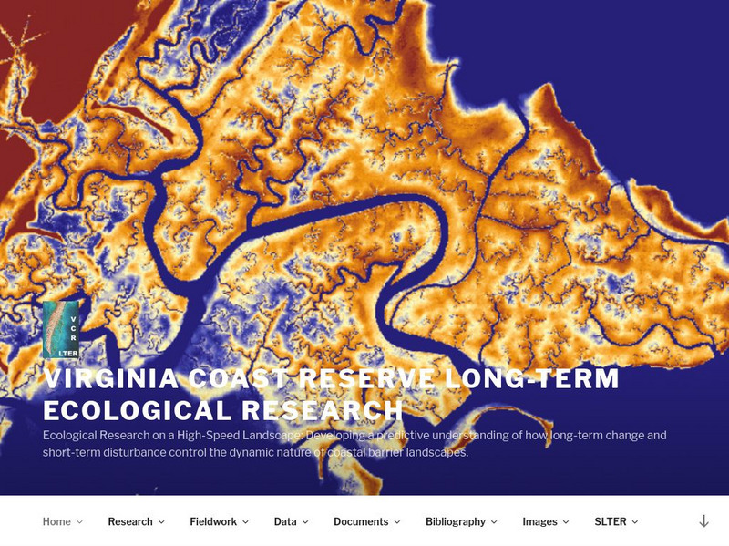 Virginia Coast Reserve Website