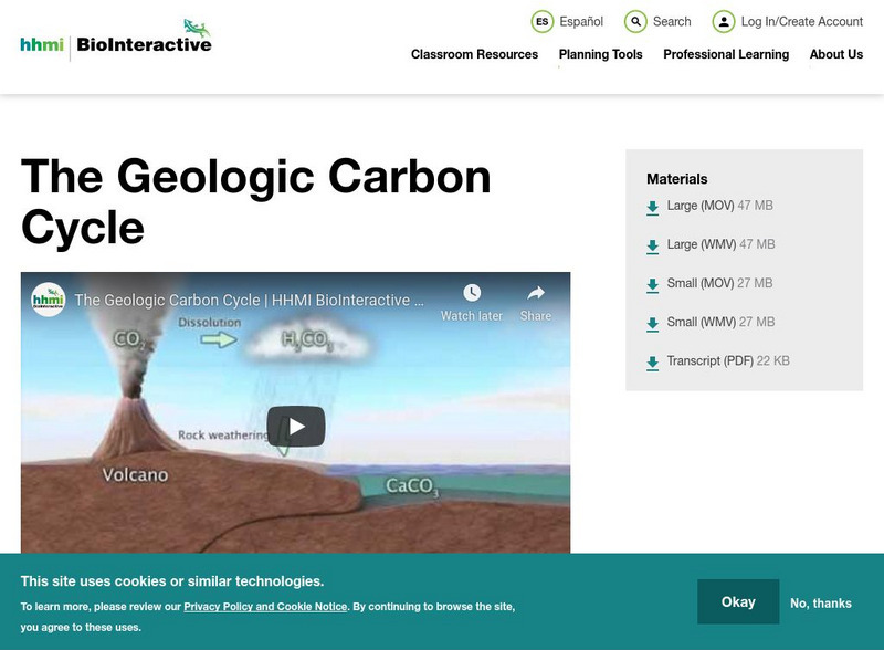 Hhmi: Biointeractive: The Geologic Carbon Cycle Instructional Video